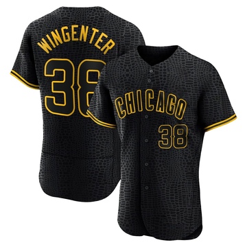 Trey Wingenter Men's Authentic Chicago Cubs Black Snake Skin City Jersey